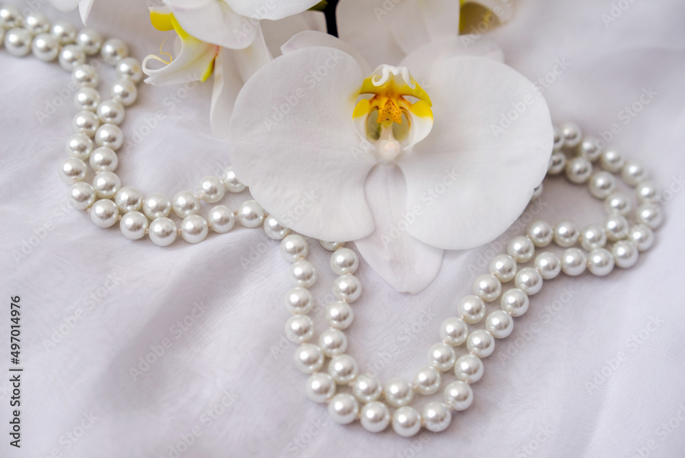 The branch of white orchids on white fabric background
