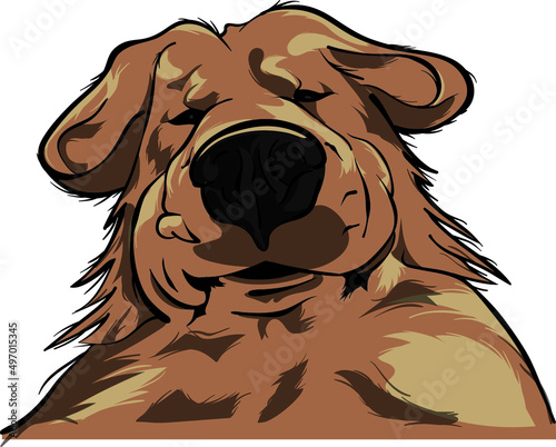illustration of a dog photo