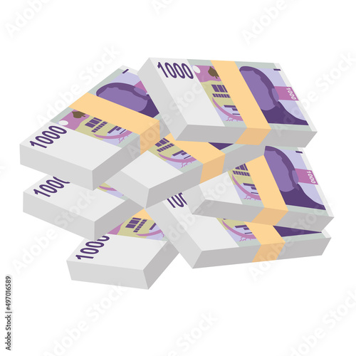Czech Koruna Vector Illustration. Czech Republic money set bundle banknotes. Paper money 1000 CZK. Flat style. Isolated on white background. Simple minimal design.
