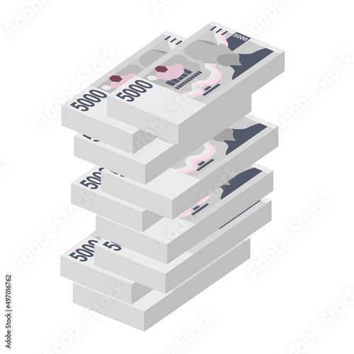 Czech Koruna Vector Illustration. Czech Republic money set bundle banknotes. Paper money 5000 CZK. Flat style. Isolated on white background. Simple minimal design.