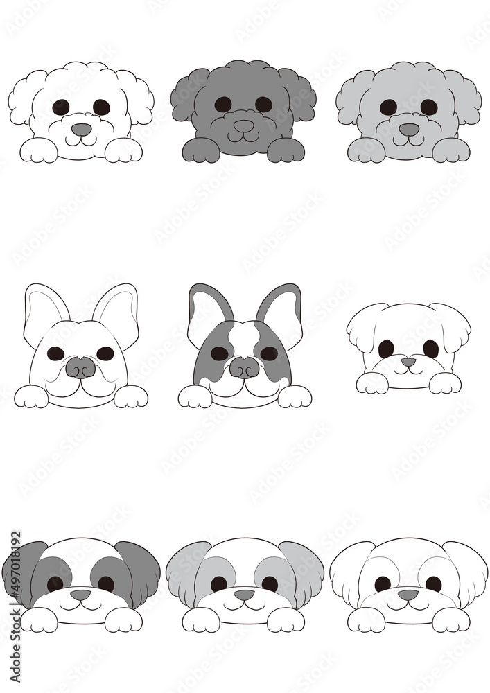 Fototapeta premium ワンちゃんの正面顏(手つき))5犬種9匹セット)グレースケール