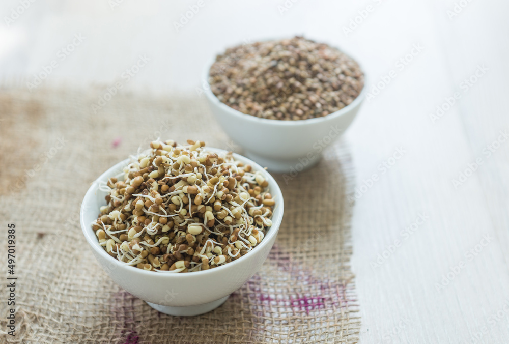 Bowl of sprouted green moong or green gram along with raw moong grains. Sprouted legume is the most healthiest food and full of vitamins. Bowl of sprouted green moong or green gram along with raw moong grains. Sprouted legume is the most healthiest food and full of vitamins.