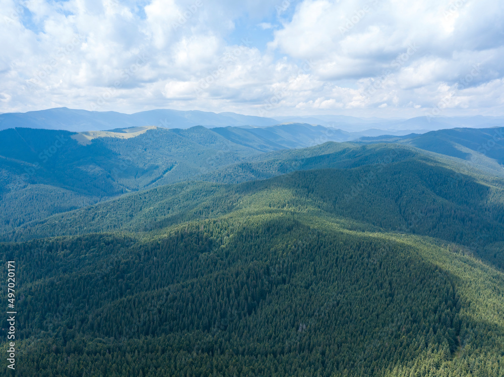 Fototapeta premium Green mountains of Ukrainian Carpathians in summer. Sunny day, rare clouds. Aerial drone view.