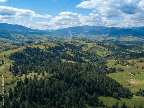 Green mountains of Ukrainian Carpathians in summer. Coniferous trees on the slopes. Aerial drone view.