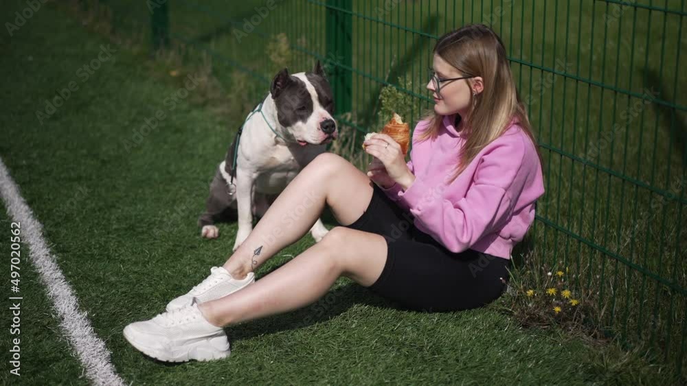 Relaxed young woman eating croissant sharing food with dog outdoors. Wide shot carefree Caucasian female owner and male pet sitting on green grass at mesh fence enjoying dessert. Slow motion