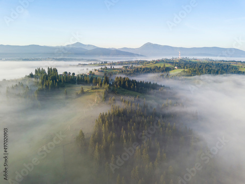 Fototapeta Naklejka Na Ścianę i Meble -  Morning fog in the Ukrainian Carpathians. Aerial drone view.