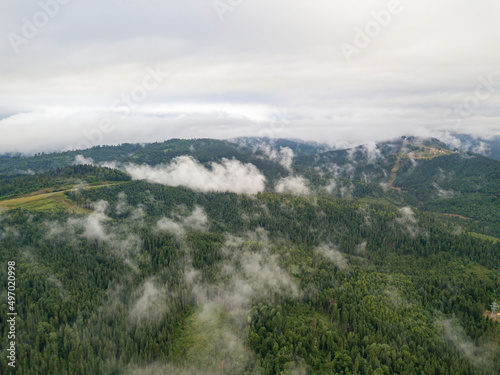 Green slopes of Ukrainian Carpathian mountains in summer. Cloudy morning, low clouds. Aerial drone view. © Sergey