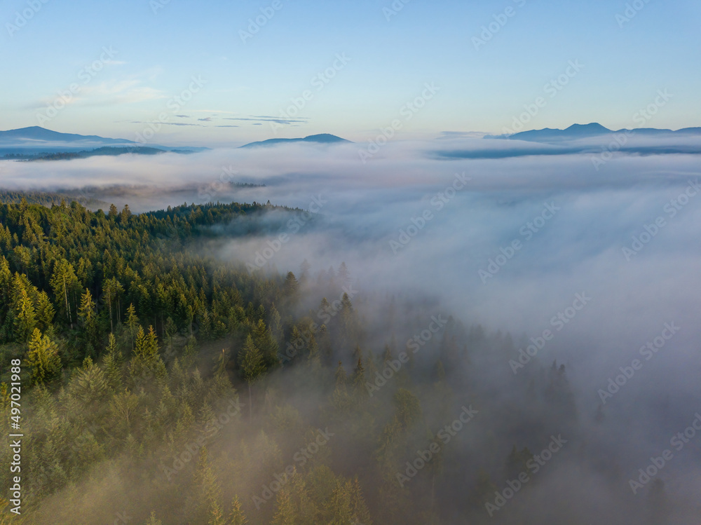 Foggy summer morning in the Ukrainian Carpathians. Aerial drone view.