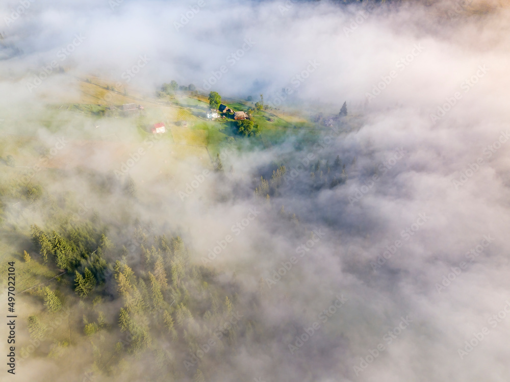Fog envelops the mountain forest. The rays of the rising sun break through the fog. Aerial drone view. Fog envelops the mountain forest. The rays of the rising sun break through the fog. Aerial drone view.