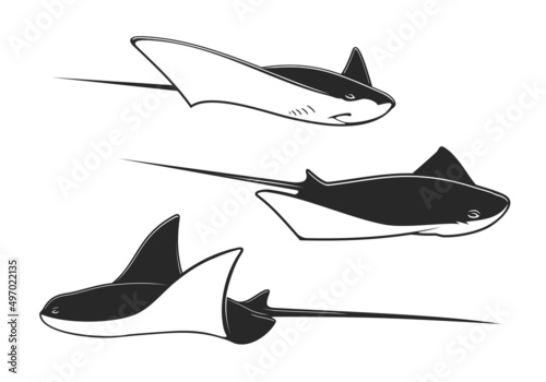 Manta ray, stingray and cramp fish underwater animals. Isolated ocean or sea vector fish, black and white rays with long stingers and tails, tropical marine water wildlife, zoo aquarium