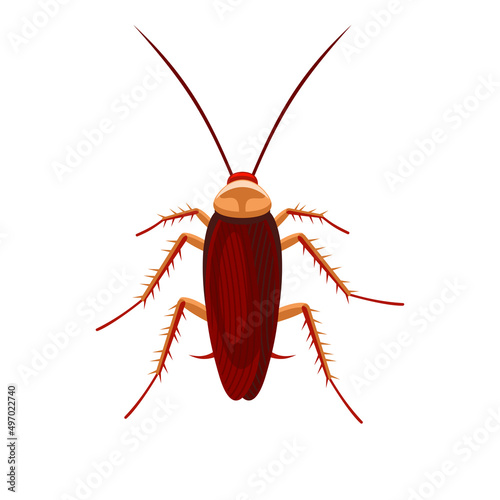 Cockroach Bug Icon on White Background. Vector