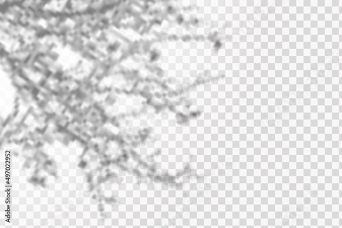 Soft shadow form window and plants, light overlay effect. Scenes of natural lighting.Effect Template for social media backgrounds, product presentations, photo shots.