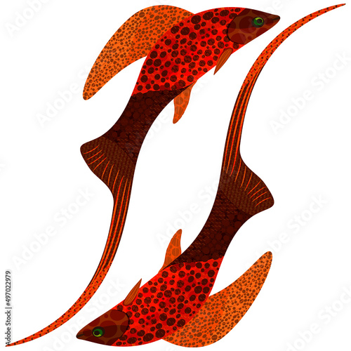 Red tropical fish.