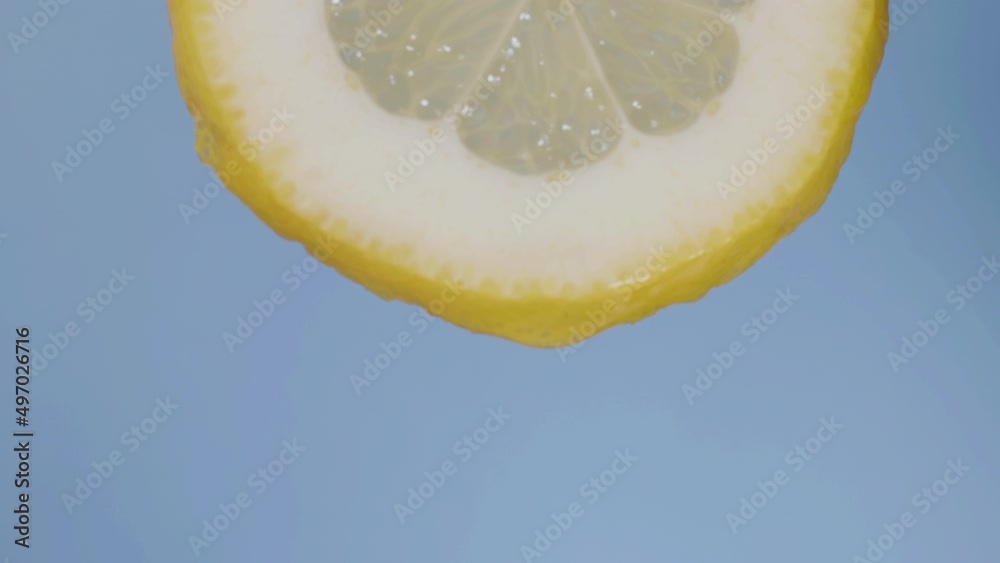 Closeup shot of hand lifting up lemon slice with water dropping from the fruit piece. Vertical motion. Isolated blue background. Macro static shot. Food, cooking, healthy eating