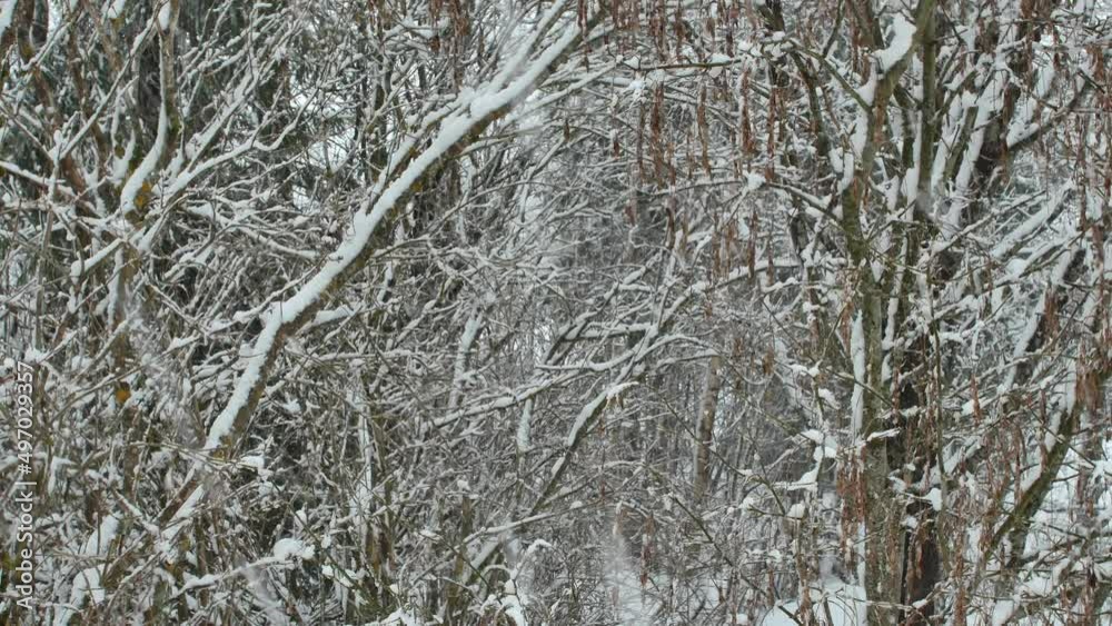 Lappeenranta, Finland – 04/05/2022:Snow storm in April Lappeenranta, Finland – 04/05/2022:Snow storm in April