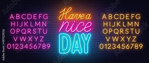 Have a Nice Day neon lettering on brick wall background.