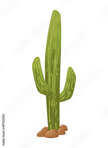 desert cactu plant