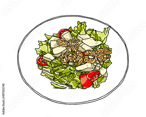 Vegetarian salad hand-drawn lettuce, walnuts, tomatoes, cheese. Graph vector illustration