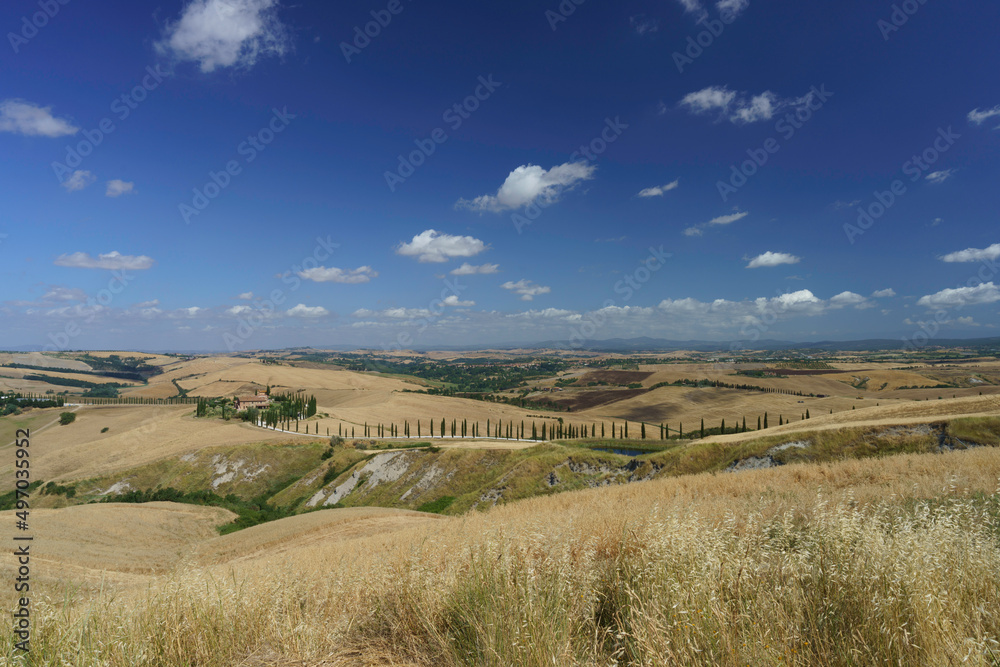 Rural landscape near Asciano, Tuscany, Italy