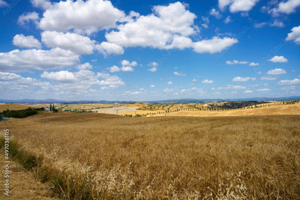 Rural landscape in Val d Orcia, Tuscany, Italy Rural landscape in Val d Orcia, Tuscany, Italy