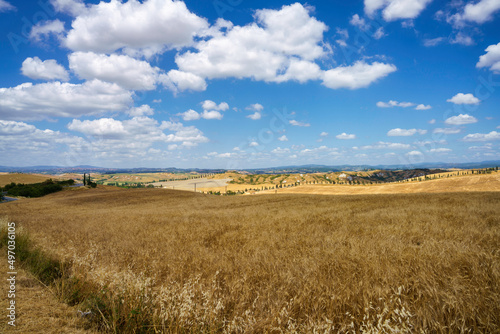 Rural landscape in Val d Orcia  Tuscany  Italy