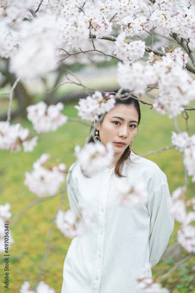 満開の桜の花と爽やかな女性 満開の桜の花と爽やかな女性