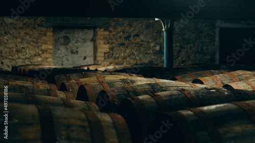 wine barrels in cellar