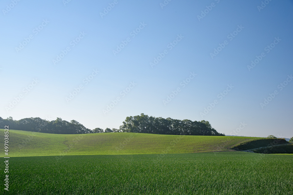 さわやかに晴れ渡った美瑛の丘の風景 北海道美瑛町の観光イメージ さわやかに晴れ渡った美瑛の丘の風景 北海道美瑛町の観光イメージ