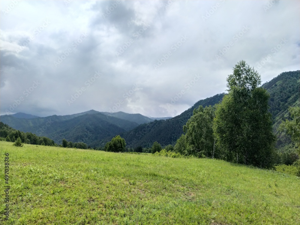 Obraz premium landscape with sky