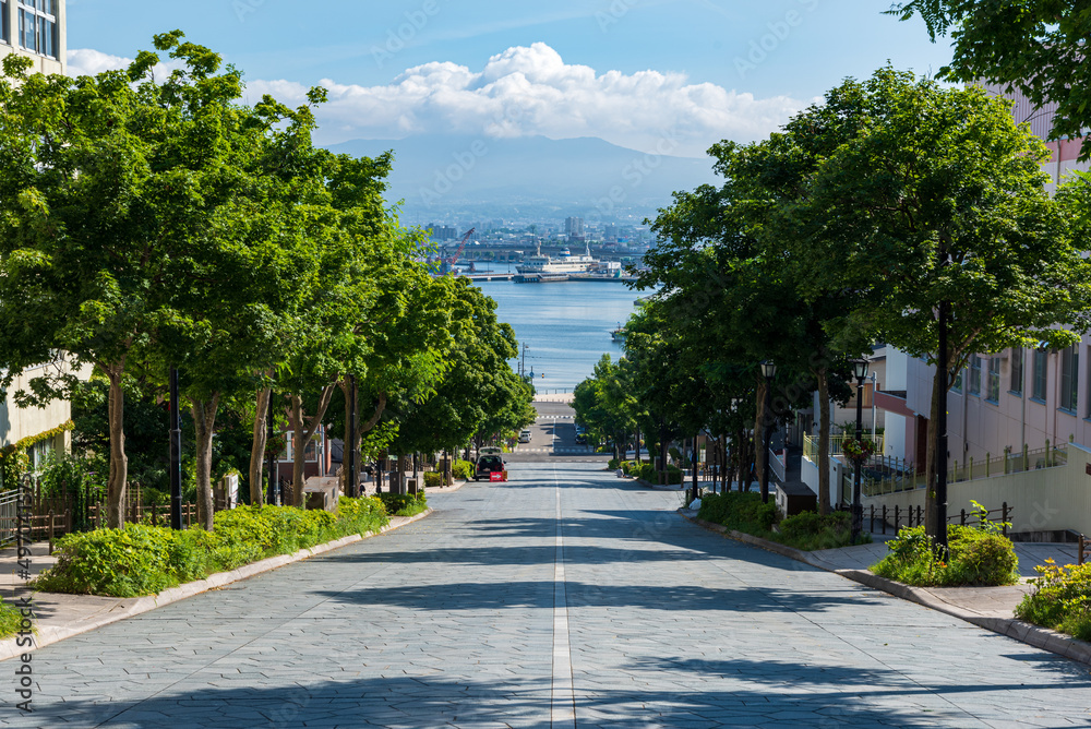 海を見下ろす八幡坂からの風景  北海道函館市の観光イメージ
