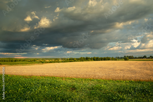 Dark cloud over the farmland  summer day