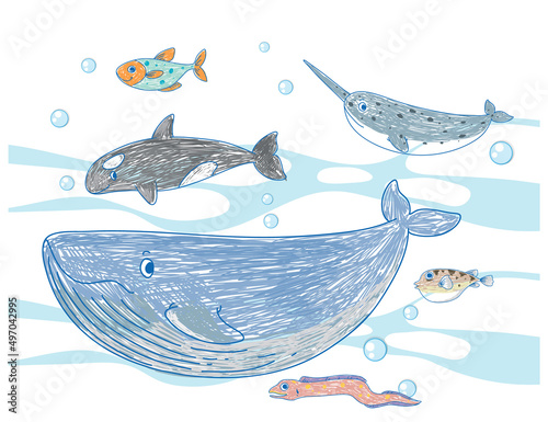 Coloured hand drawn sea animals collection