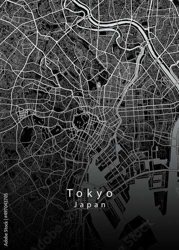 Fototapeta Naklejka Na Ścianę i Meble -  Tokyo Japan City Map