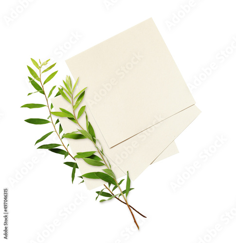 Empty pieces of small paper...