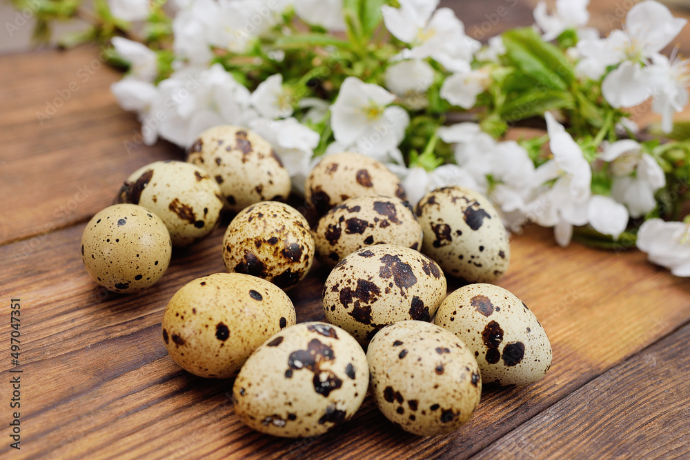Fototapeta premium quail eggs close-up on a wooden table against the background of a flowering branch.