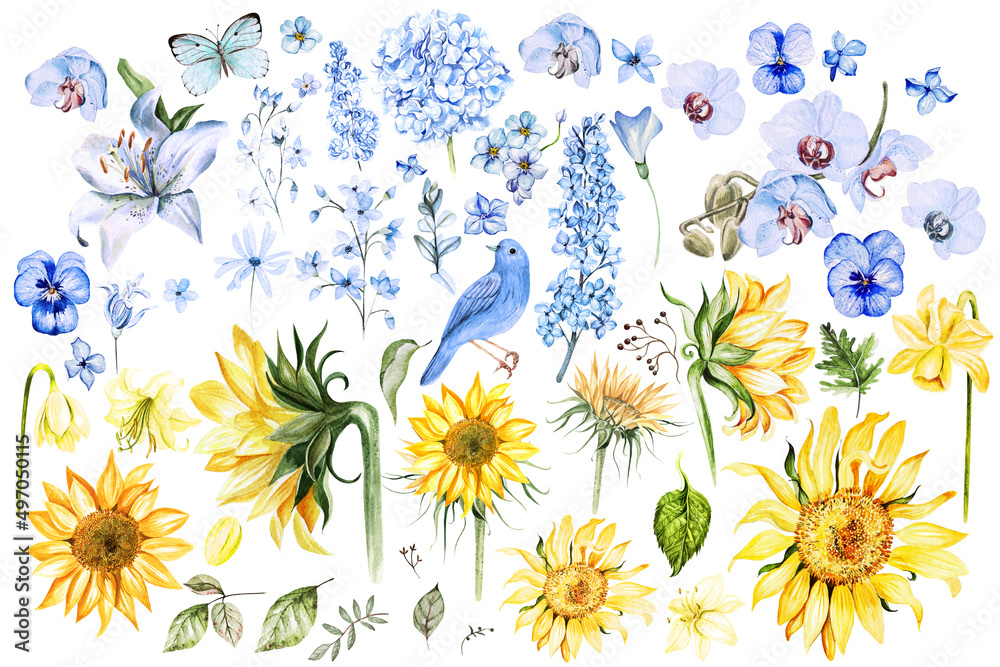 Watercolor set with yellow and blue flowers. Illustration Stock ...