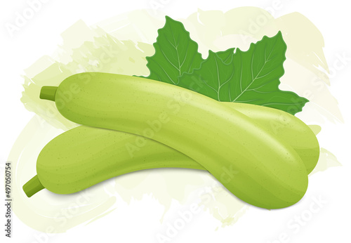 Set of two Bottle Gourd vegetable vector illustrations with bottle gourd leaves isolated on white background photo