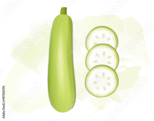 Bottle gourd vegetable vector illustration with Botter gourd round slices from the top view
