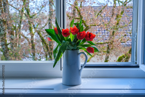 tulips in a vase in front of a window with a tree in the background 