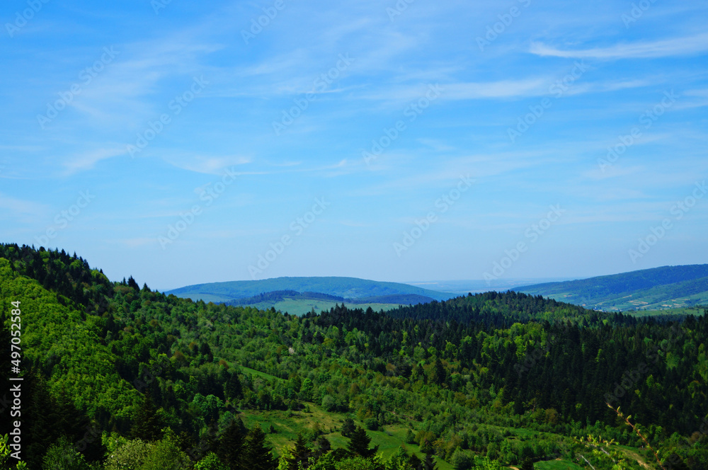 View of the Ukrainian Carpathian mountains covered with green forest under a blue sky on a spring day