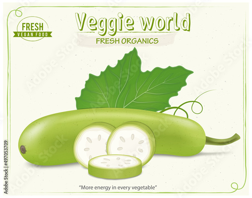 Bottle gourd vegetable vector illustration with  bottle gourd vegetable slices and green leaf