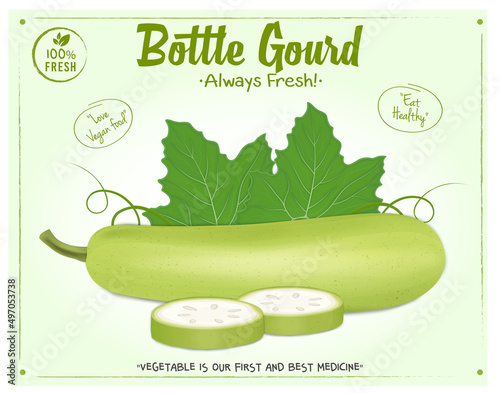 Bottle gourd vector illustration with green leaf on light green background