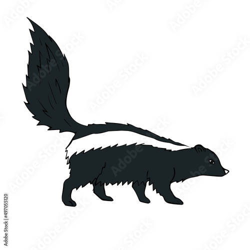 Vector hand drawn doodle sketch colored skunk isolated on white background