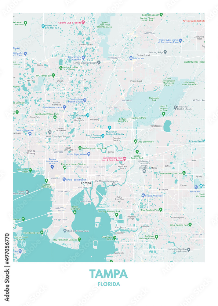 Poster Tampa - Florida map. Road map. Illustration of Tampa - Florida streets. Transportation ...