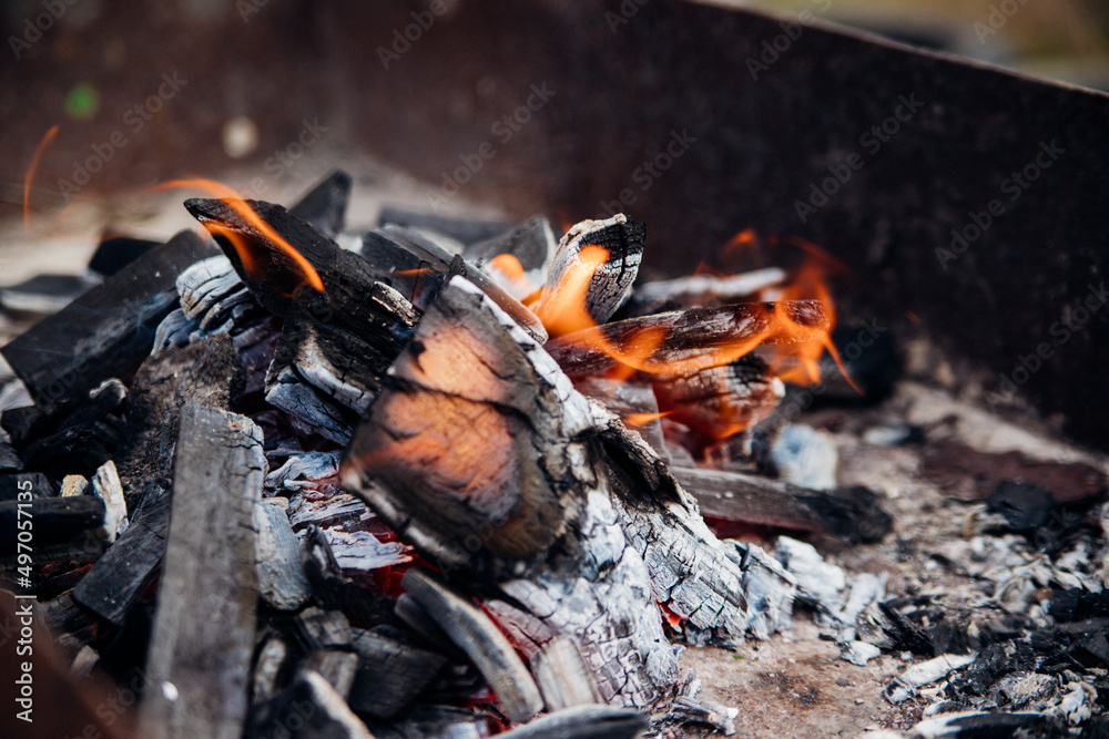 A brightly burning bonfire with a red flame made from wood in an outdoor grill.An adventurous lifestyle in travel. Active weekend recreation in the wild outdoors. A brightly burning bonfire with a red flame made from wood in an outdoor grill.An adventurous lifestyle in travel. Active weekend recreation in the wild outdoors.