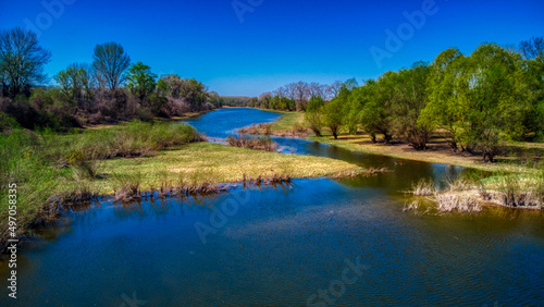 lake in the forest