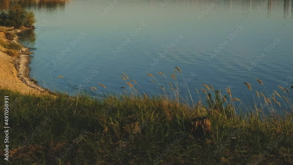 View from the river bank to the waves and the sandy shore of the forest FHD View from the river bank to the waves and the sandy shore of the forest FHD