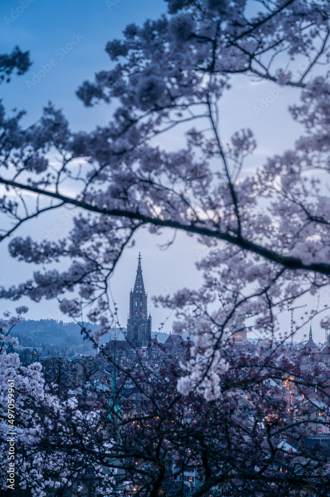 blue hour from Rosengarten with a beautiful view over Bern
