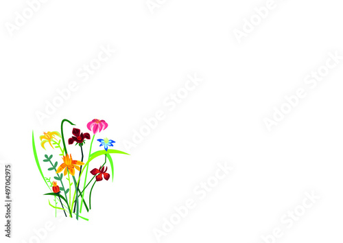 spring flowers illustration,flower,spring,pink,summer