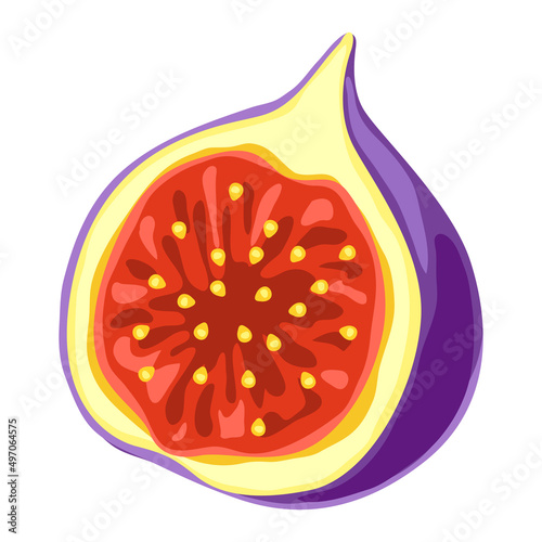 Illustration of fig. Ripe fruit. Object for food industry.